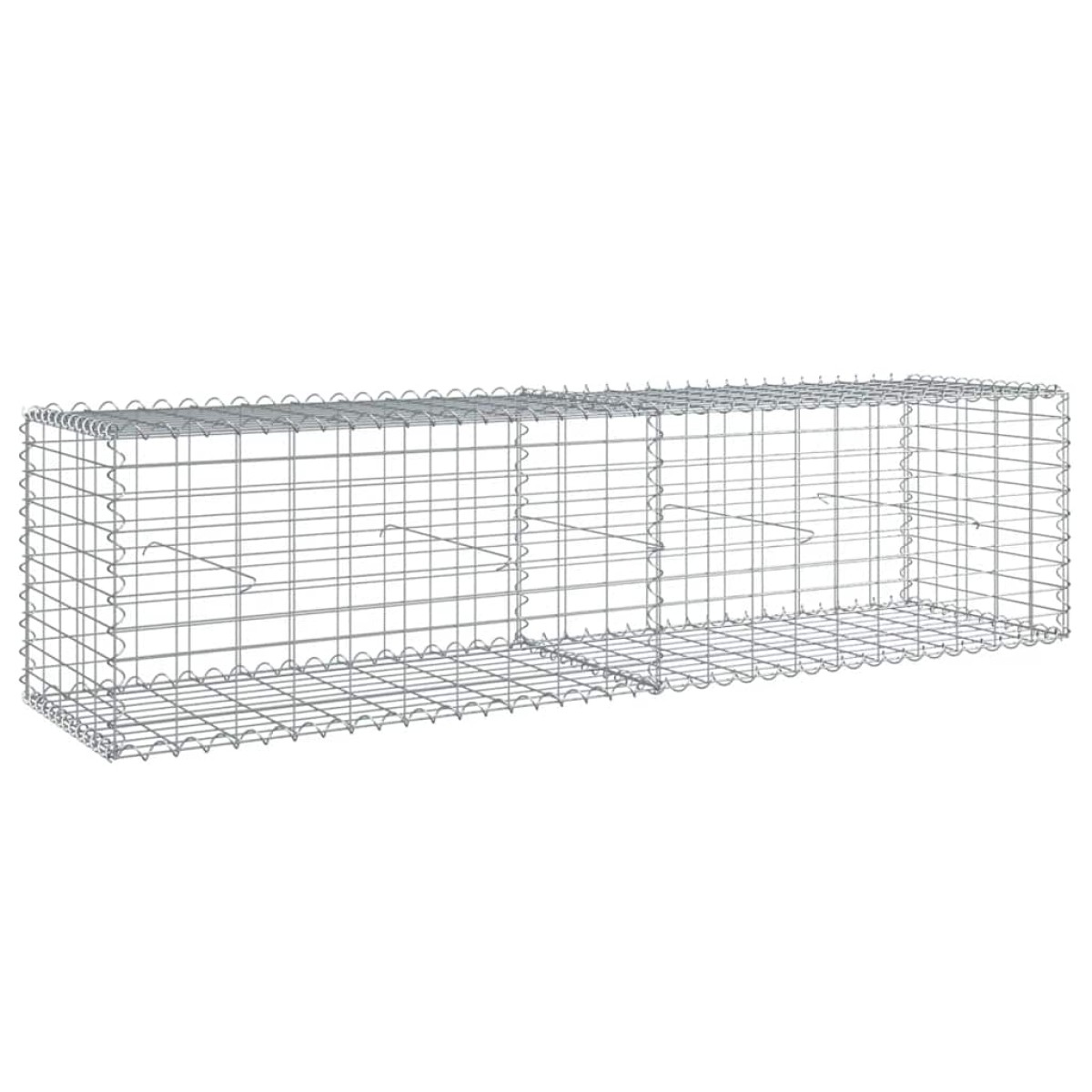 vidaXL Συρματοκιβώτιο με Κάλυμμα 200x50x50 εκ. από Γαλβανισμένο Χάλυβα