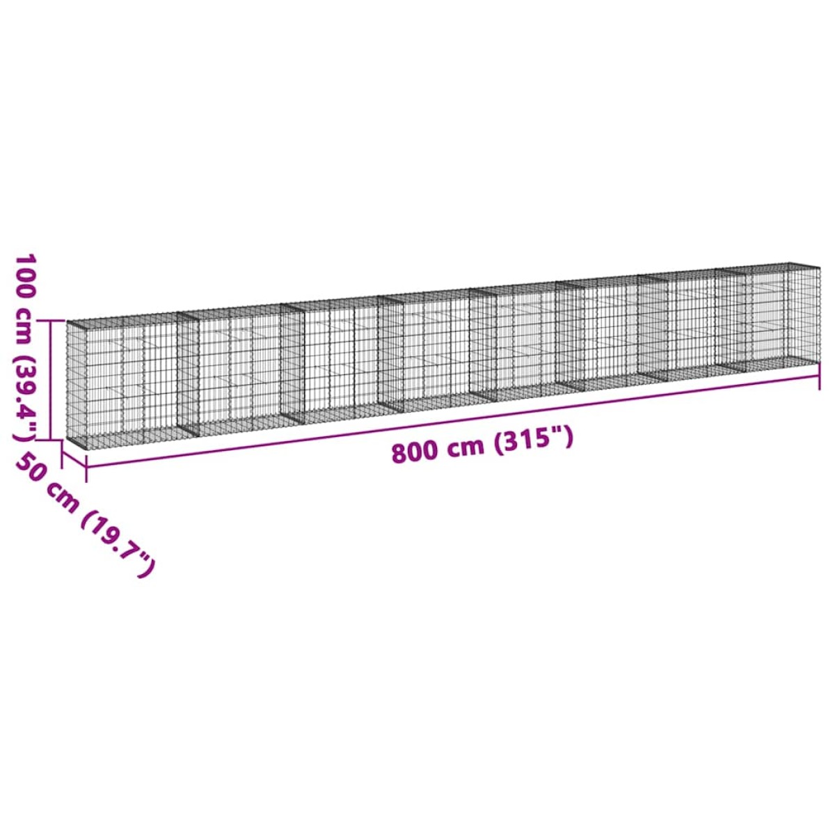 vidaXL Συρματοκιβώτιο με Κάλυμμα 800x50x100εκ. από Γαλβανισμένο Χάλυβα