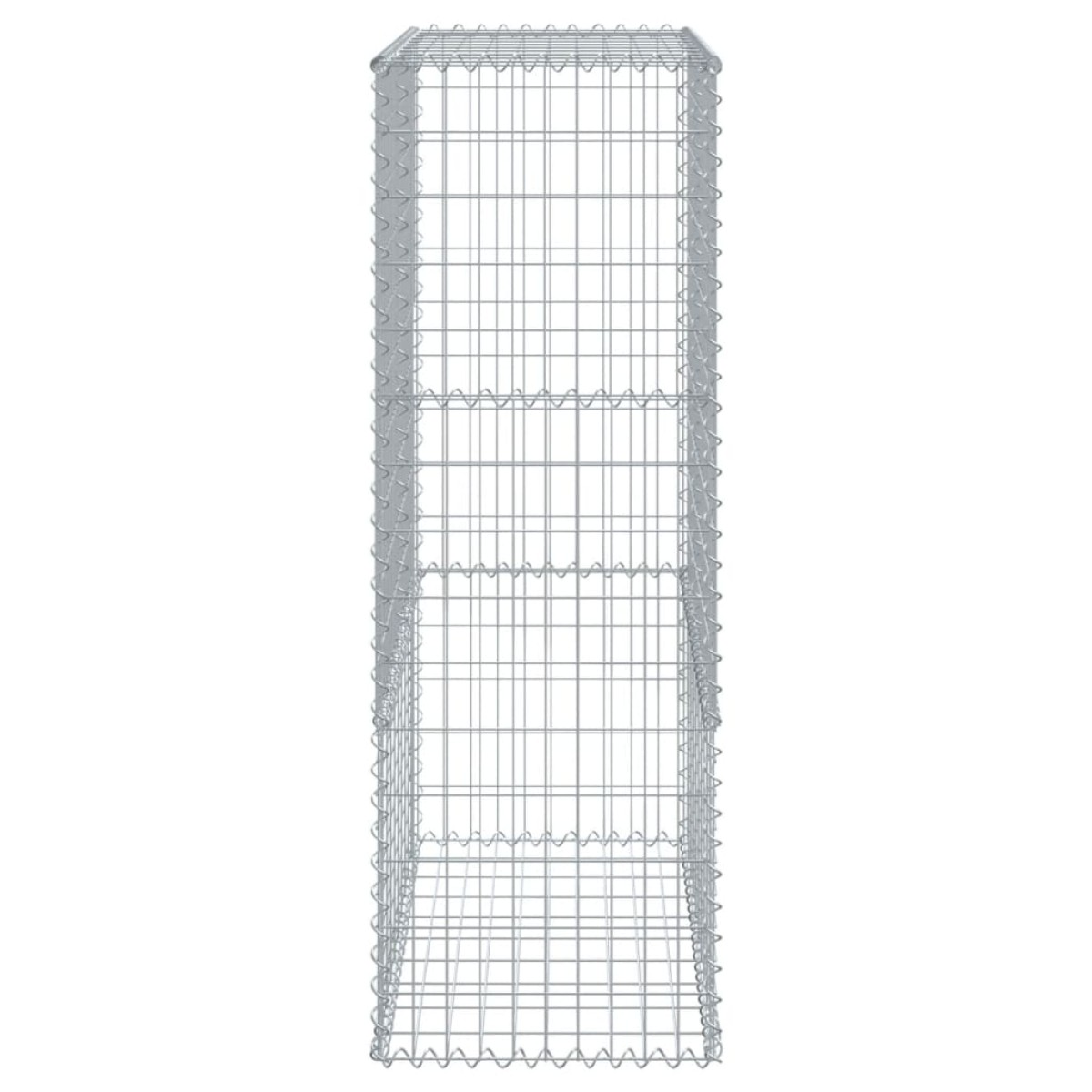 vidaXL Συρματοκιβώτιο με Κάλυμμα 300x50x150εκ. από Γαλβανισμένο Χάλυβα