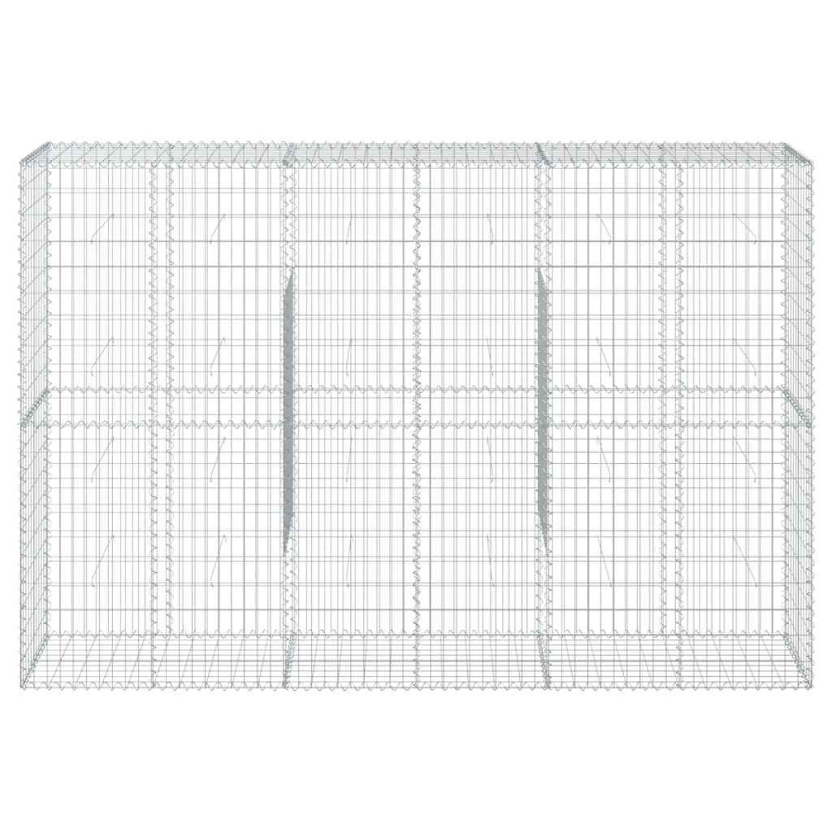 vidaXL Συρματοκιβώτιο με Κάλυμμα 300x50x200εκ. από Γαλβανισμένο Χάλυβα