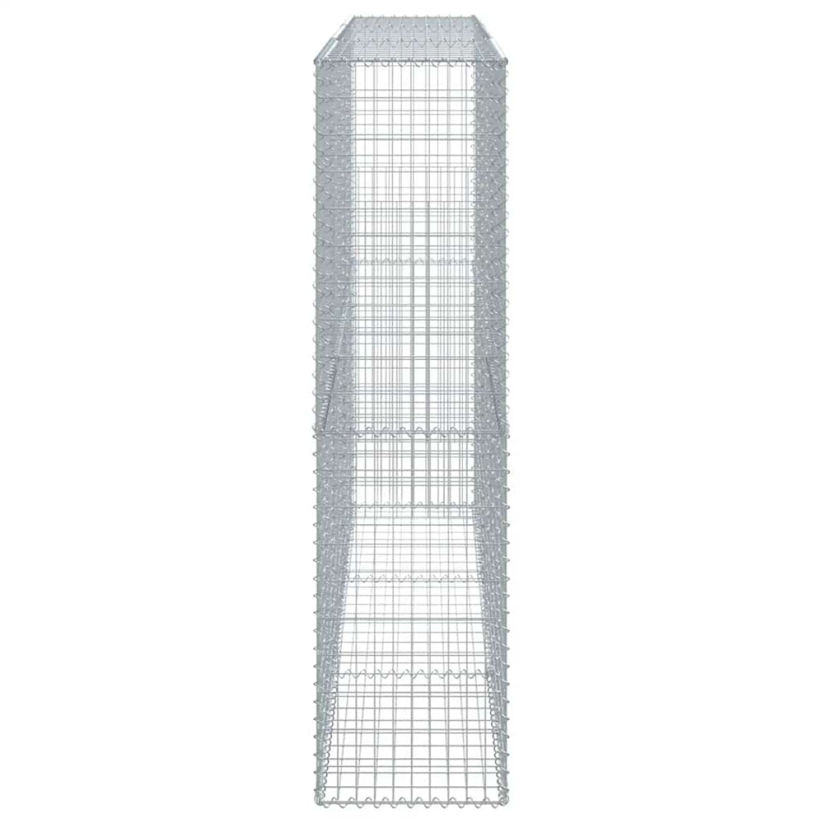 vidaXL Συρματοκιβώτιο με Κάλυμμα 300x50x200εκ. από Γαλβανισμένο Χάλυβα