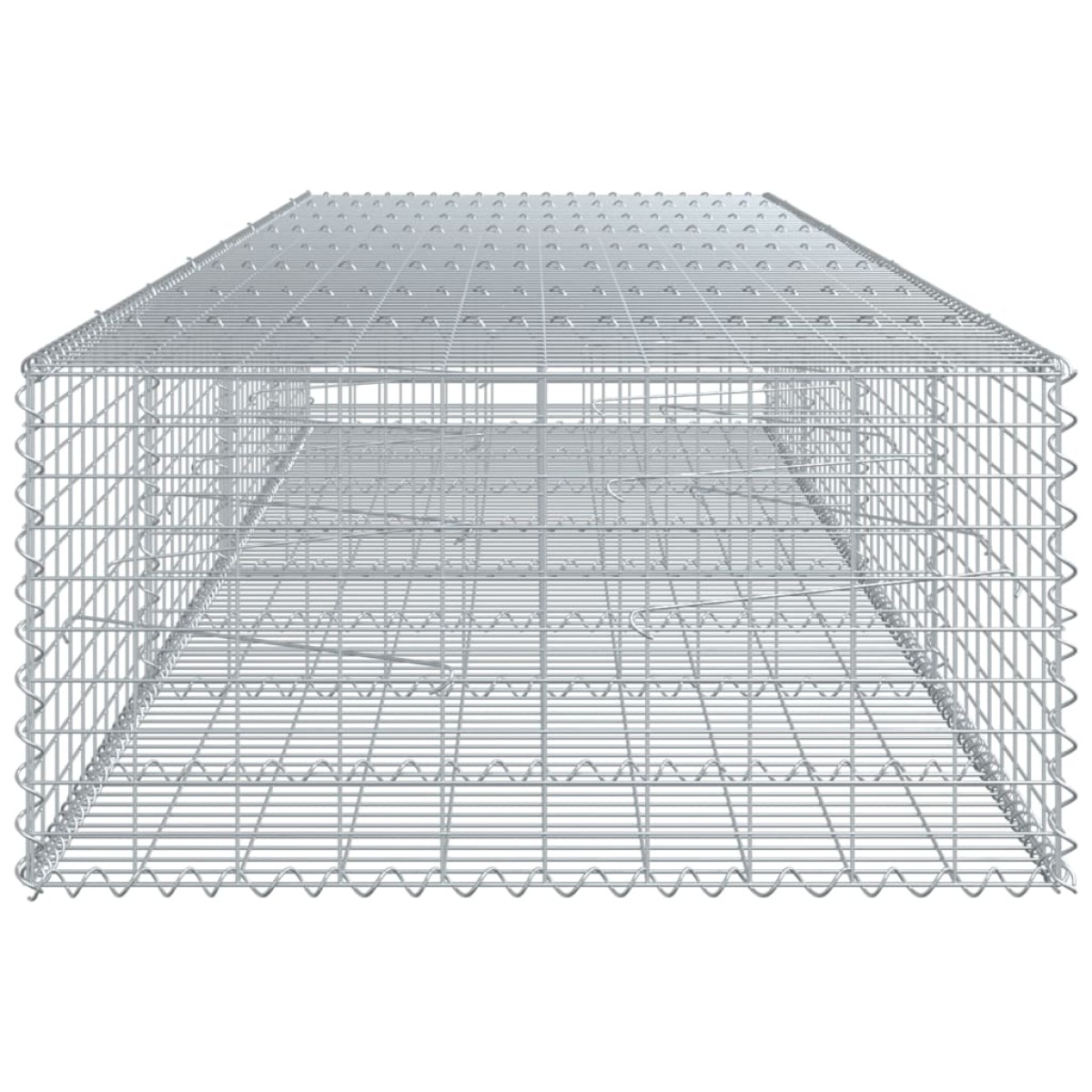 vidaXL Συρματοκιβώτιο με Κάλυμμα 400x100x50εκ. από Γαλβανισμένο Χάλυβα