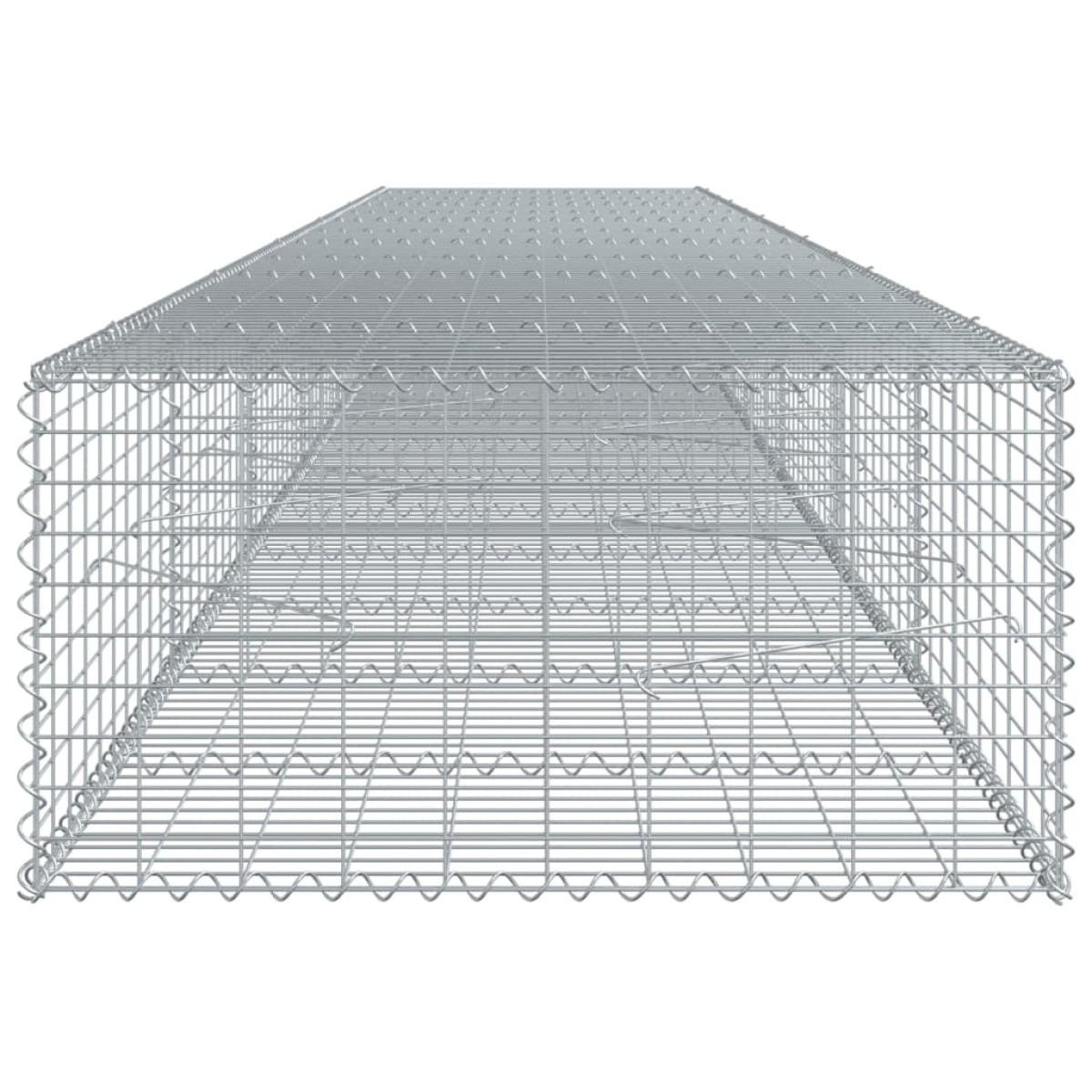 vidaXL Συρματοκιβώτιο με Κάλυμμα 600x100x50εκ. από Γαλβανισμένο Χάλυβα