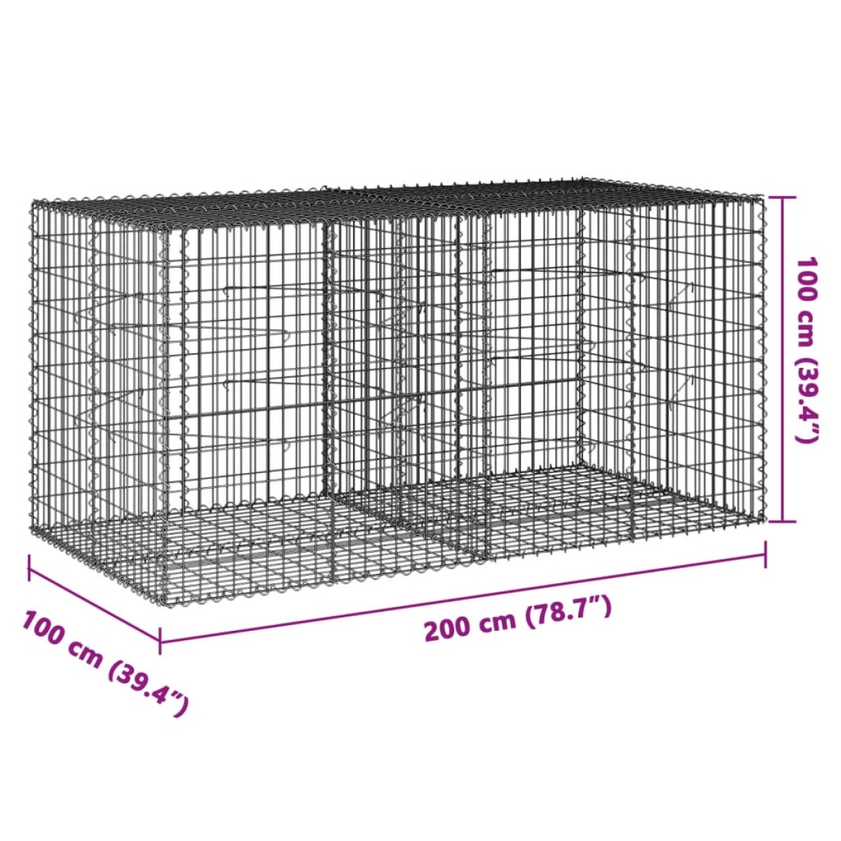 vidaXL Συρματοκιβώτιο με Κάλυμμα 200x100x100εκ από Γαλβανισμένο Χάλυβα