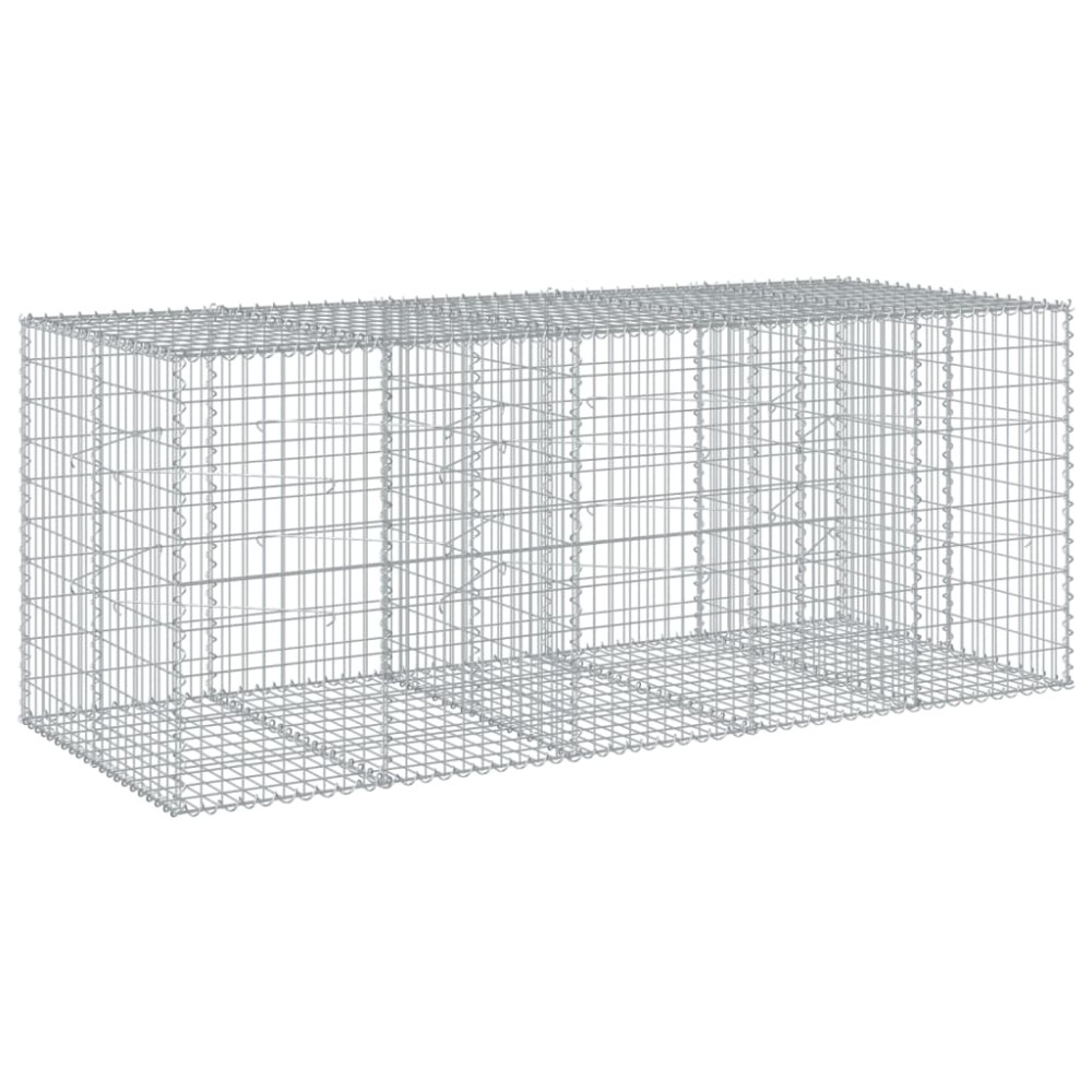 vidaXL Συρματοκιβώτιο με Κάλυμμα 250x100x100εκ από Γαλβανισμένο Χάλυβα