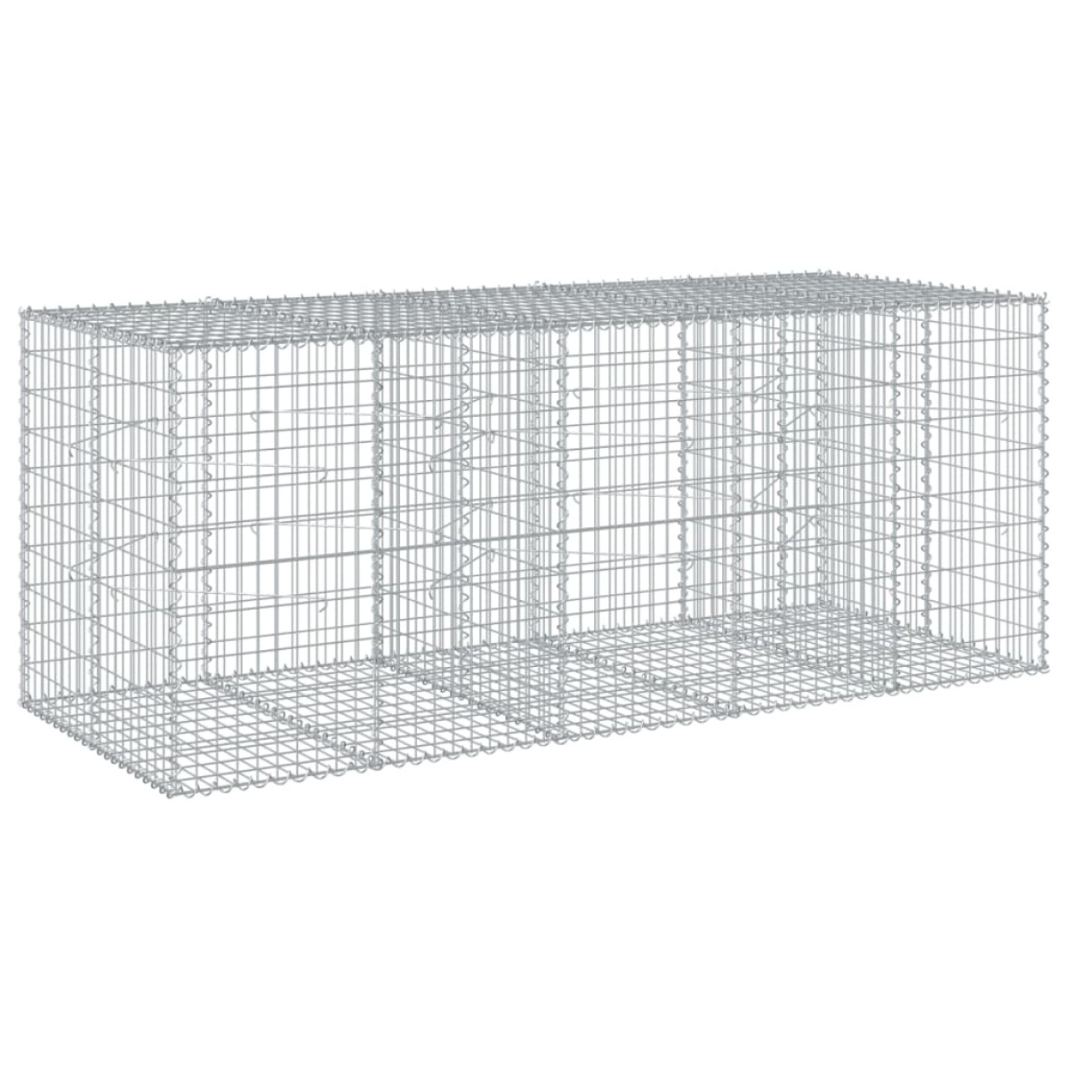 vidaXL Συρματοκιβώτιο με Κάλυμμα 250x100x100εκ από Γαλβανισμένο Χάλυβα