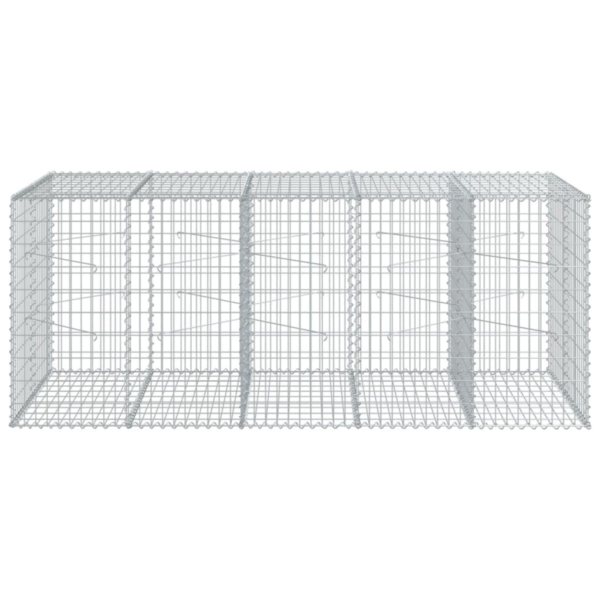 vidaXL Συρματοκιβώτιο με Κάλυμμα 250x100x100εκ από Γαλβανισμένο Χάλυβα