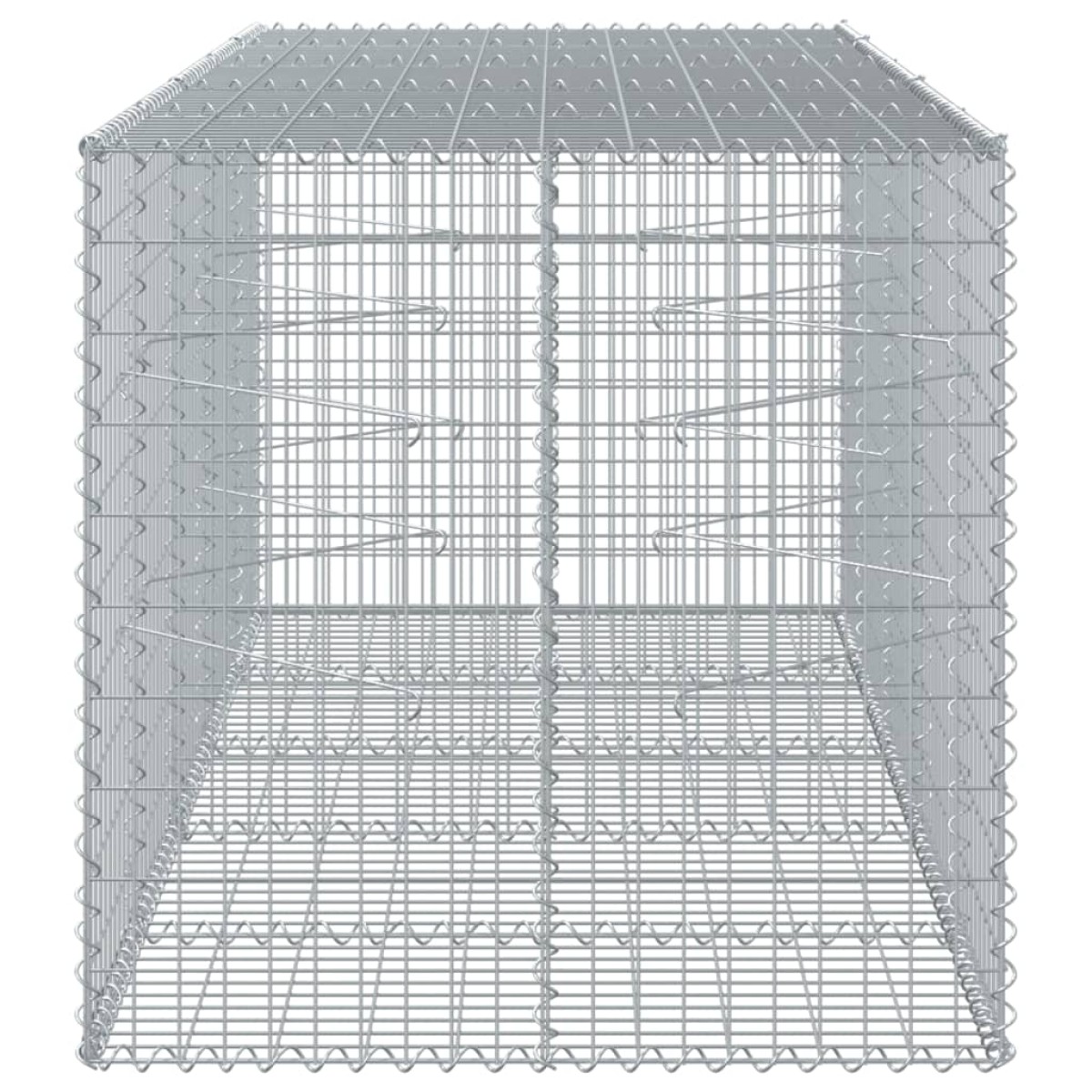 vidaXL Συρματοκιβώτιο με Κάλυμμα 250x100x100εκ από Γαλβανισμένο Χάλυβα