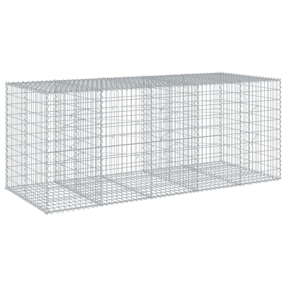 vidaXL Συρματοκιβώτιο με Κάλυμμα 250x100x100εκ από Γαλβανισμένο Χάλυβα