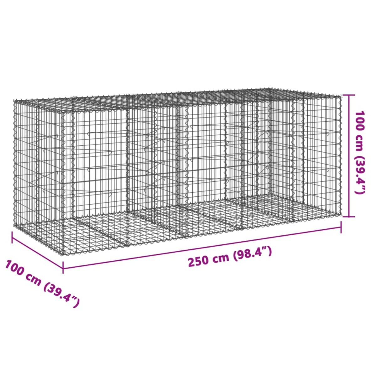 vidaXL Συρματοκιβώτιο με Κάλυμμα 250x100x100εκ από Γαλβανισμένο Χάλυβα