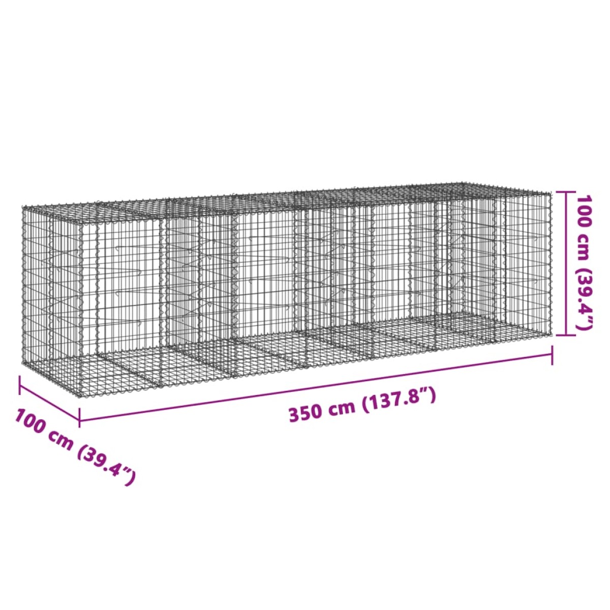 vidaXL Συρματοκιβώτιο με Κάλυμμα 350x100x100εκ από Γαλβανισμένο Χάλυβα