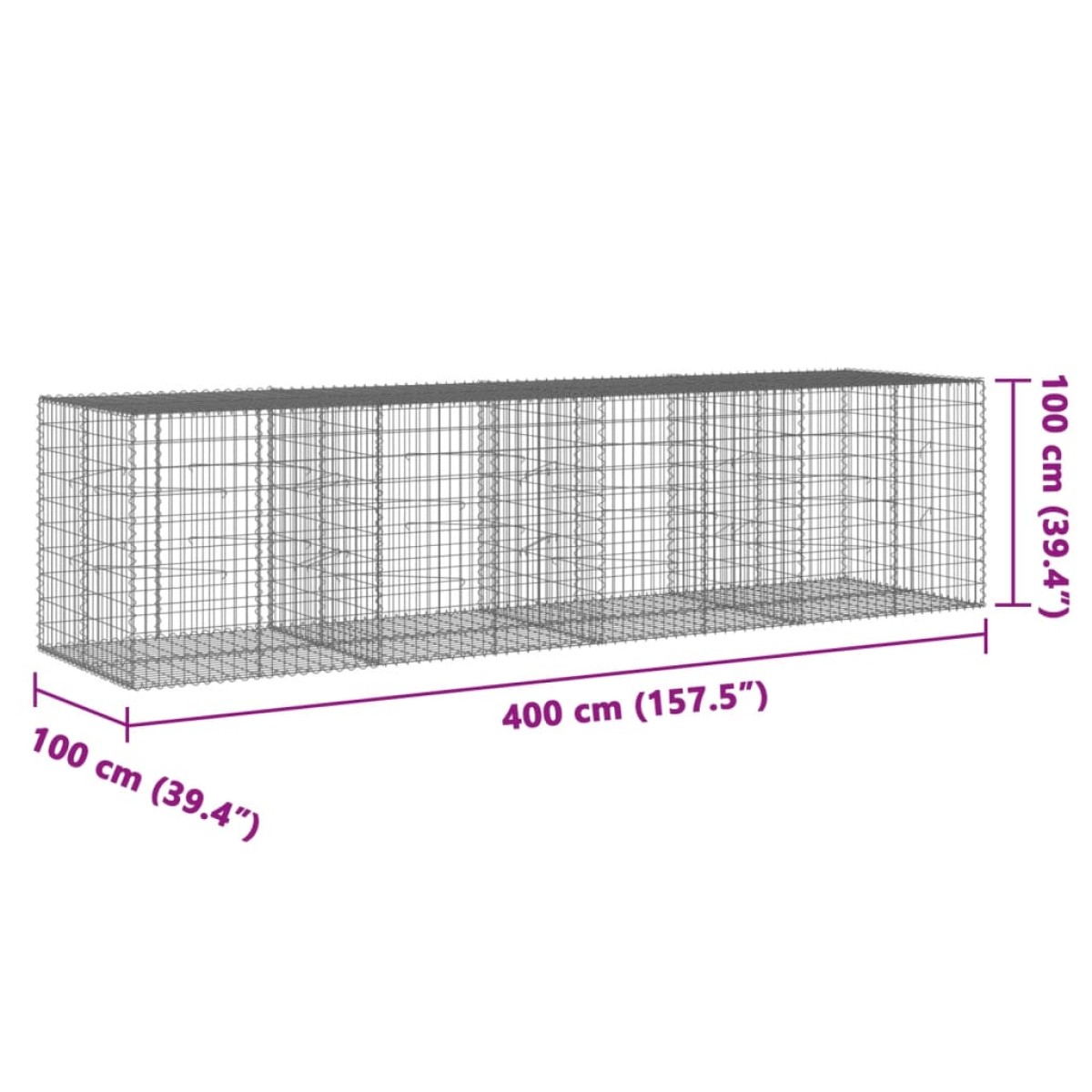 vidaXL Συρματοκιβώτιο με Κάλυμμα 400x100x100εκ από Γαλβανισμένο Χάλυβα