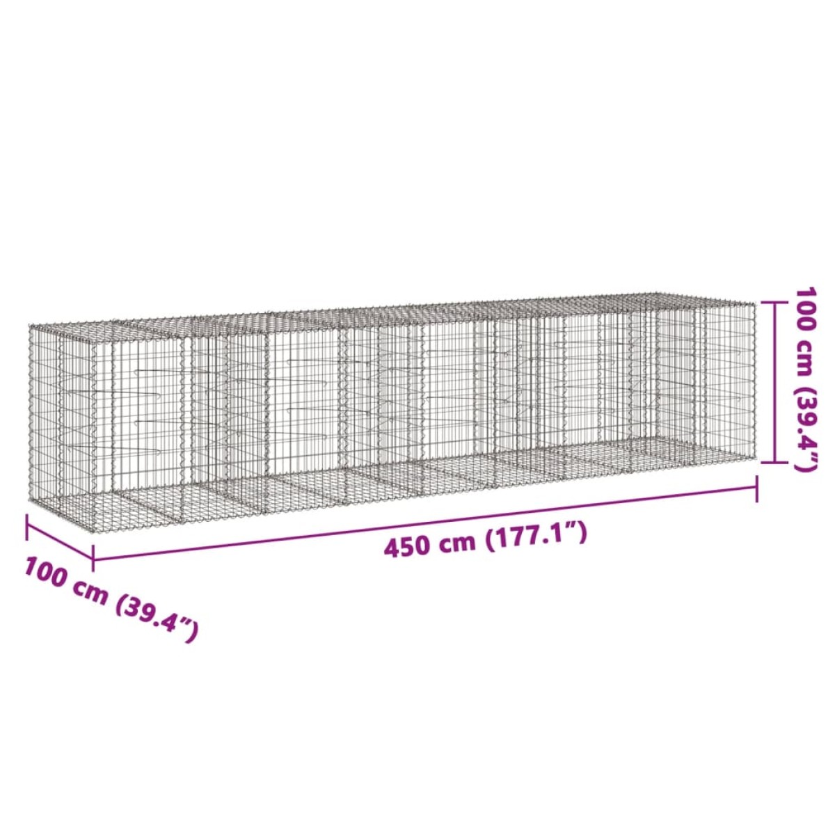 vidaXL Συρματοκιβώτιο με Κάλυμμα 450x100x100εκ από Γαλβανισμένο Χάλυβα