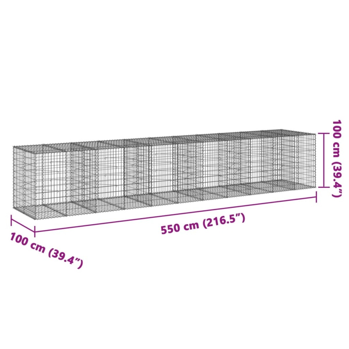 vidaXL Συρματοκιβώτιο με Κάλυμμα 550x100x100εκ από Γαλβανισμένο Χάλυβα