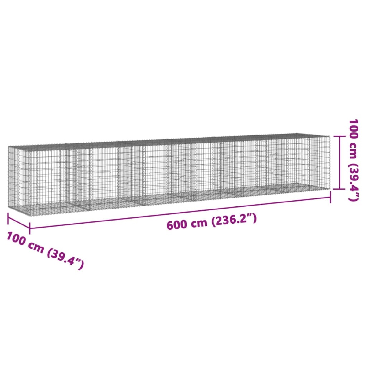 vidaXL Συρματοκιβώτιο με Κάλυμμα 600x100x100εκ από Γαλβανισμένο Χάλυβα