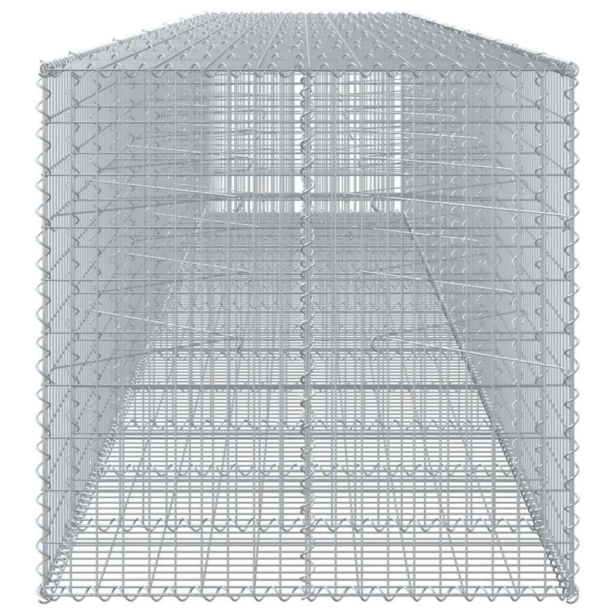 vidaXL Συρματοκιβώτιο με Κάλυμμα 650x100x100εκ από Γαλβανισμένο Χάλυβα