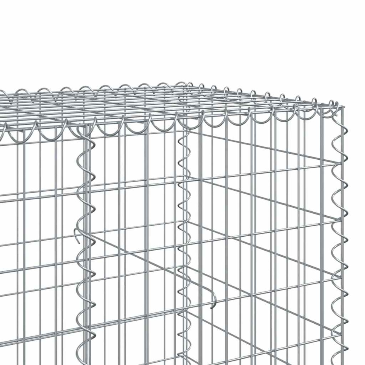 vidaXL Συρματοκιβώτιο με Κάλυμμα 650x100x100εκ από Γαλβανισμένο Χάλυβα