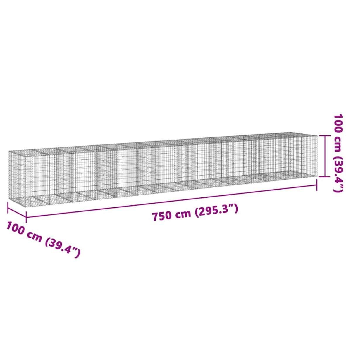 vidaXL Συρματοκιβώτιο με Κάλυμμα 750x100x100εκ από Γαλβανισμένο Χάλυβα