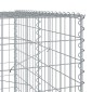 vidaXL Συρματοκιβώτιο με Κάλυμμα 100x100x200εκ από Γαλβανισμένο Χάλυβα