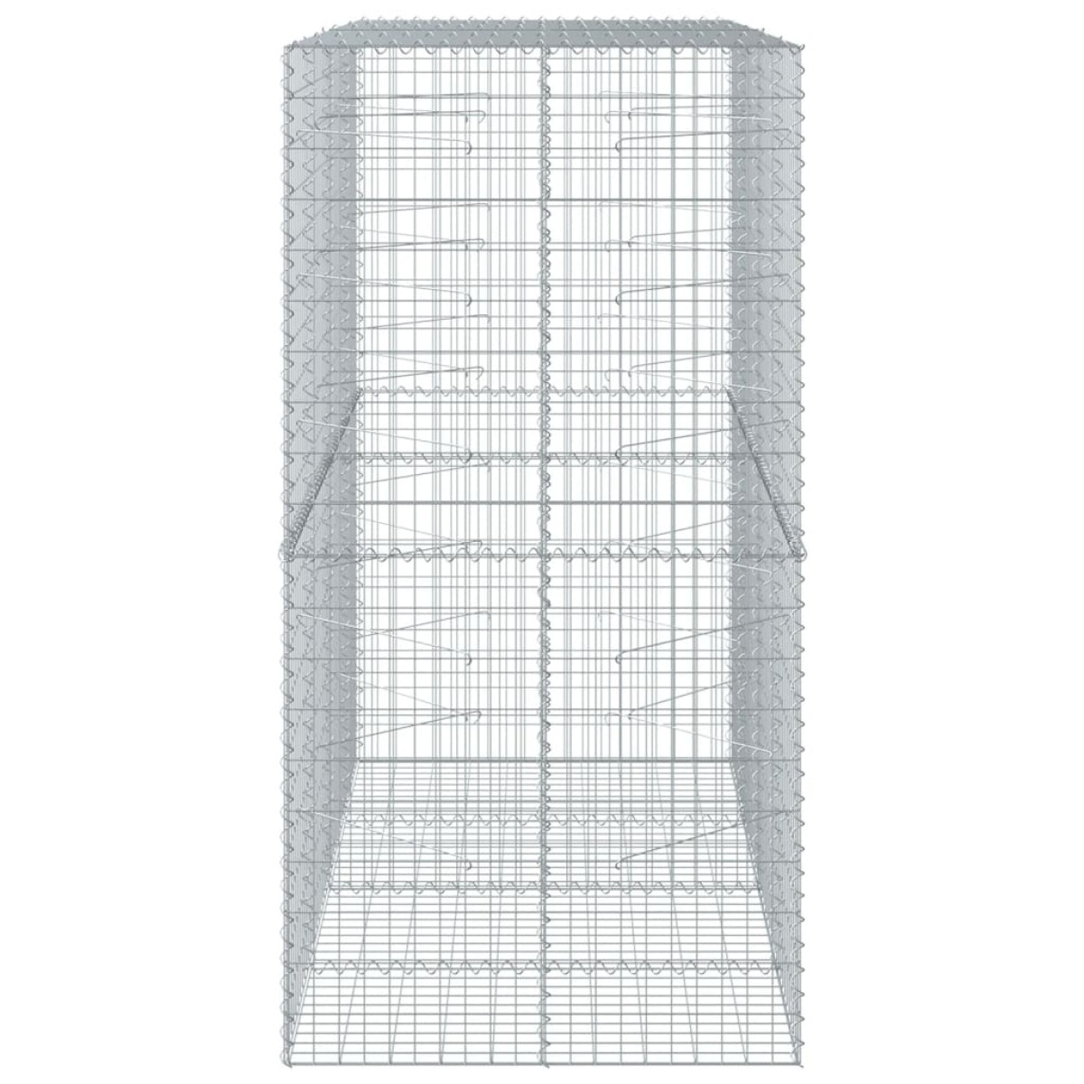 vidaXL Συρματοκιβώτιο με Κάλυμμα 200x100x200εκ από Γαλβανισμένο Χάλυβα