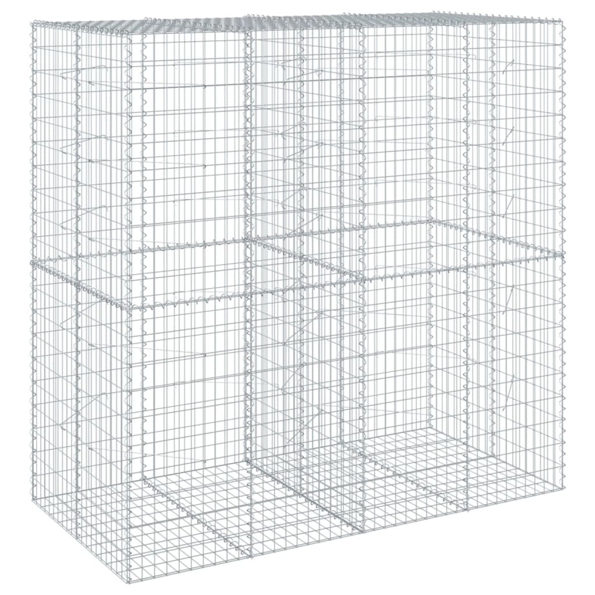 vidaXL Συρματοκιβώτιο με Κάλυμμα 200x100x200εκ από Γαλβανισμένο Χάλυβα