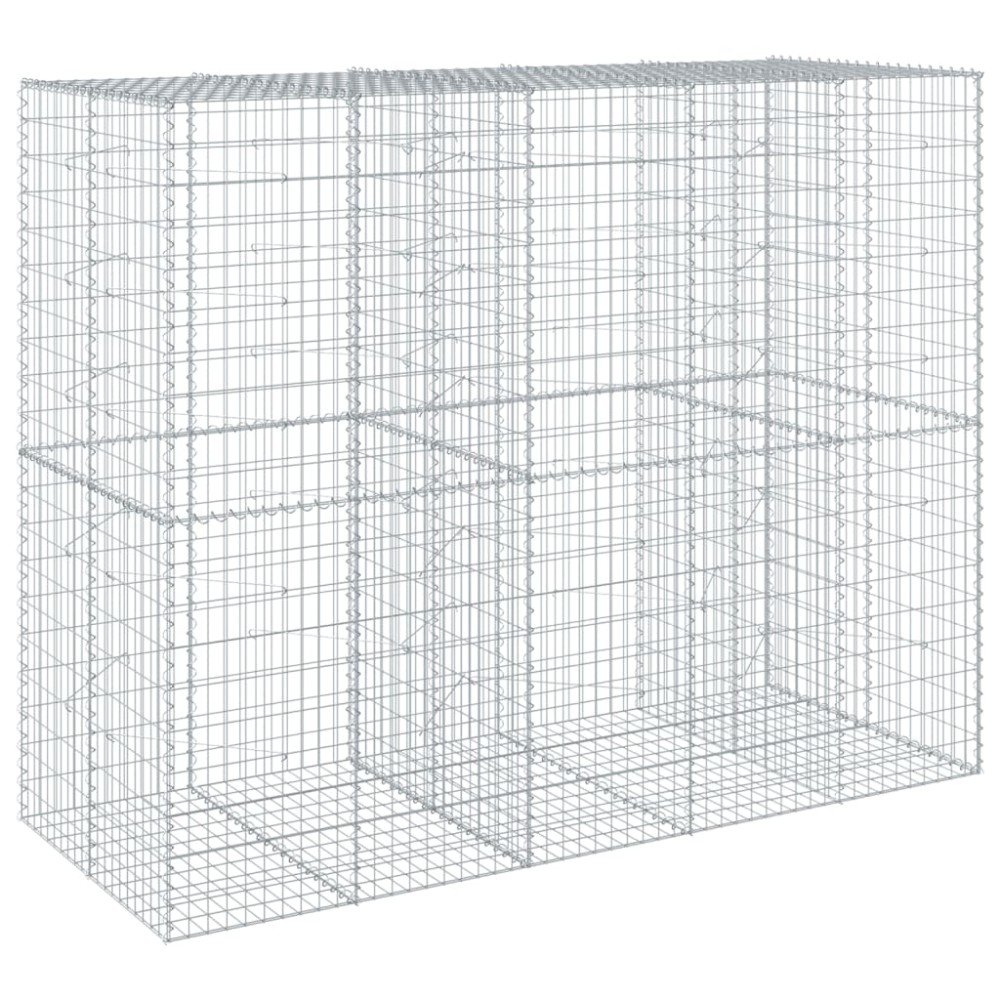 vidaXL Συρματοκιβώτιο με Κάλυμμα 250x100x200εκ από Γαλβανισμένο Χάλυβα