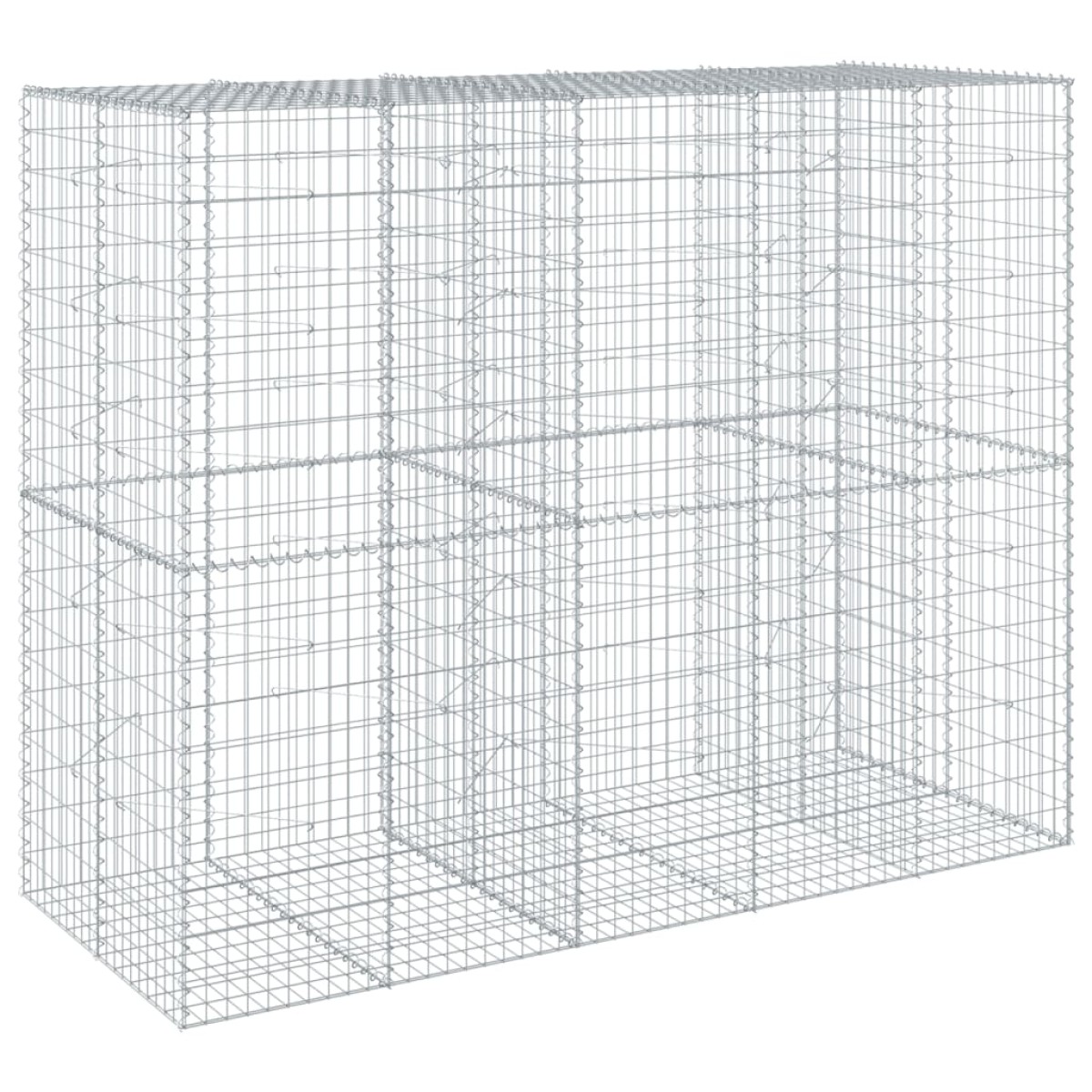 vidaXL Συρματοκιβώτιο με Κάλυμμα 250x100x200εκ από Γαλβανισμένο Χάλυβα