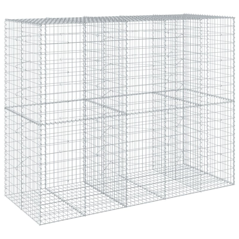 vidaXL Συρματοκιβώτιο με Κάλυμμα 250x100x200εκ από Γαλβανισμένο Χάλυβα