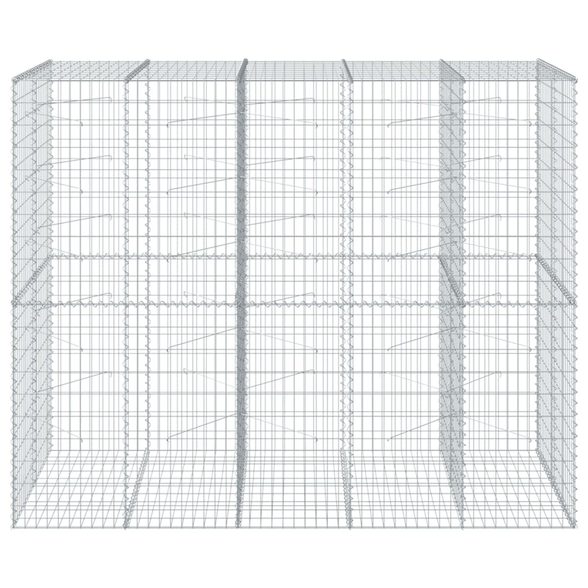 vidaXL Συρματοκιβώτιο με Κάλυμμα 250x100x200εκ από Γαλβανισμένο Χάλυβα