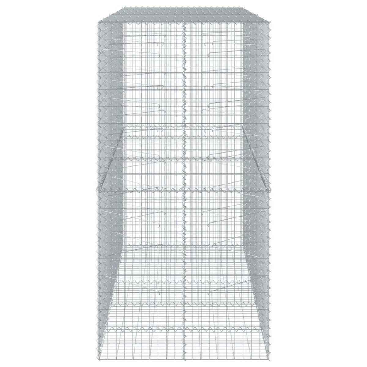 vidaXL Συρματοκιβώτιο με Κάλυμμα 250x100x200εκ από Γαλβανισμένο Χάλυβα