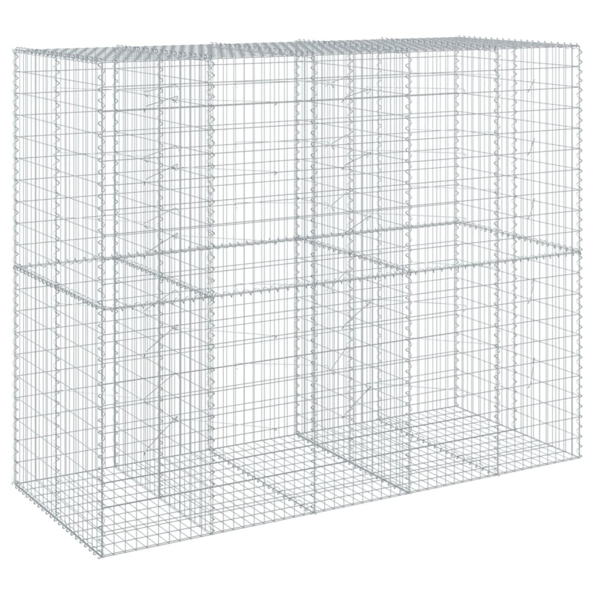 vidaXL Συρματοκιβώτιο με Κάλυμμα 250x100x200εκ από Γαλβανισμένο Χάλυβα