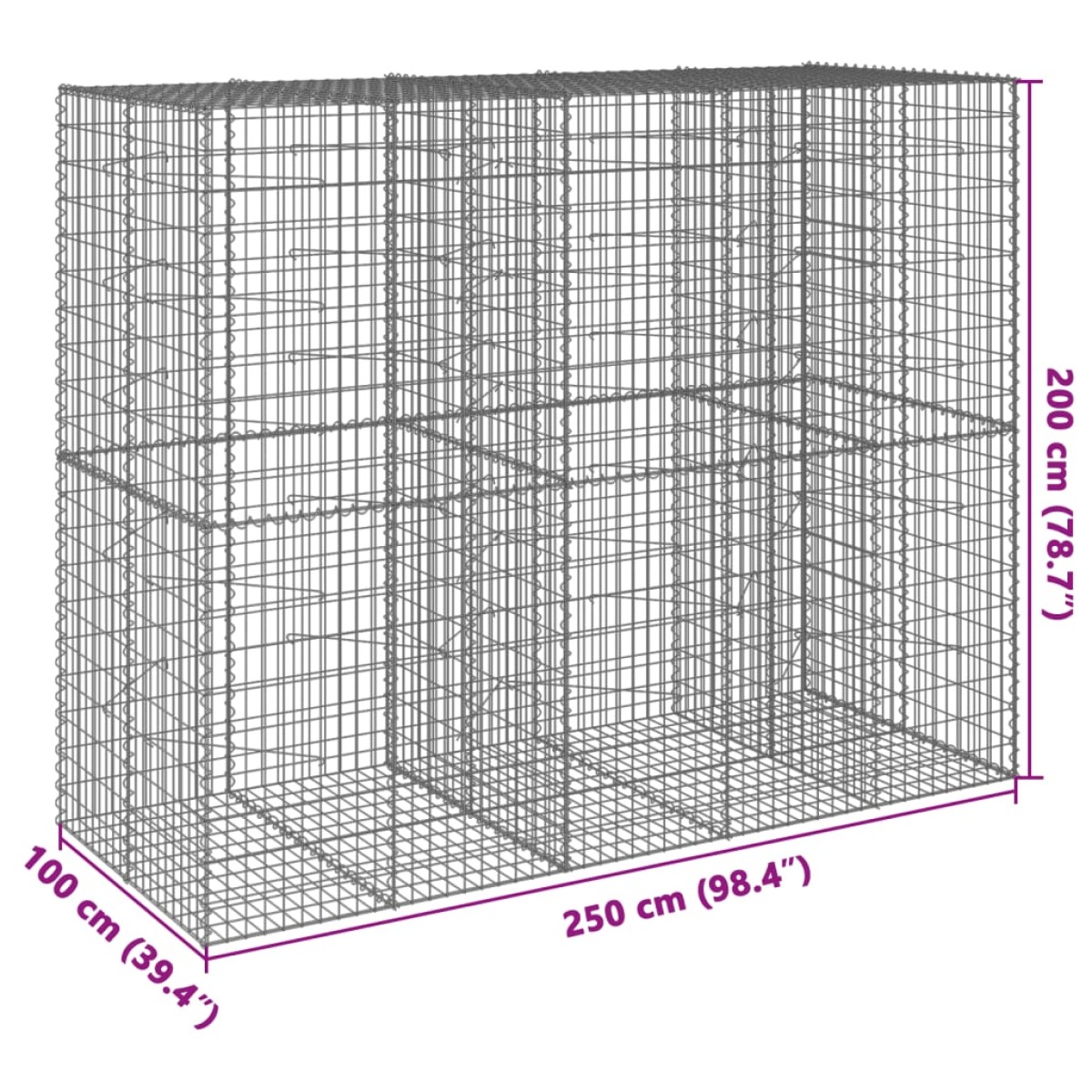 vidaXL Συρματοκιβώτιο με Κάλυμμα 250x100x200εκ από Γαλβανισμένο Χάλυβα