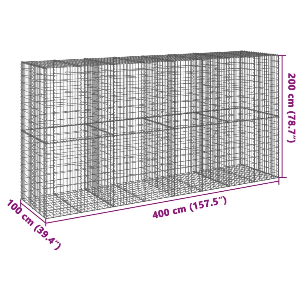 vidaXL Συρματοκιβώτιο με Κάλυμμα 400x100x200εκ από Γαλβανισμένο Χάλυβα