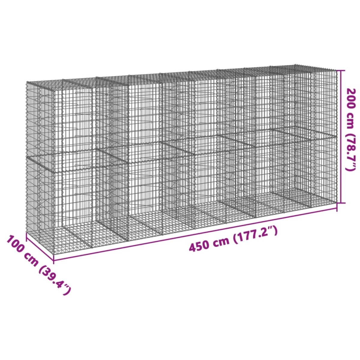 vidaXL Συρματοκιβώτιο με Κάλυμμα 450x100x200εκ από Γαλβανισμένο Χάλυβα