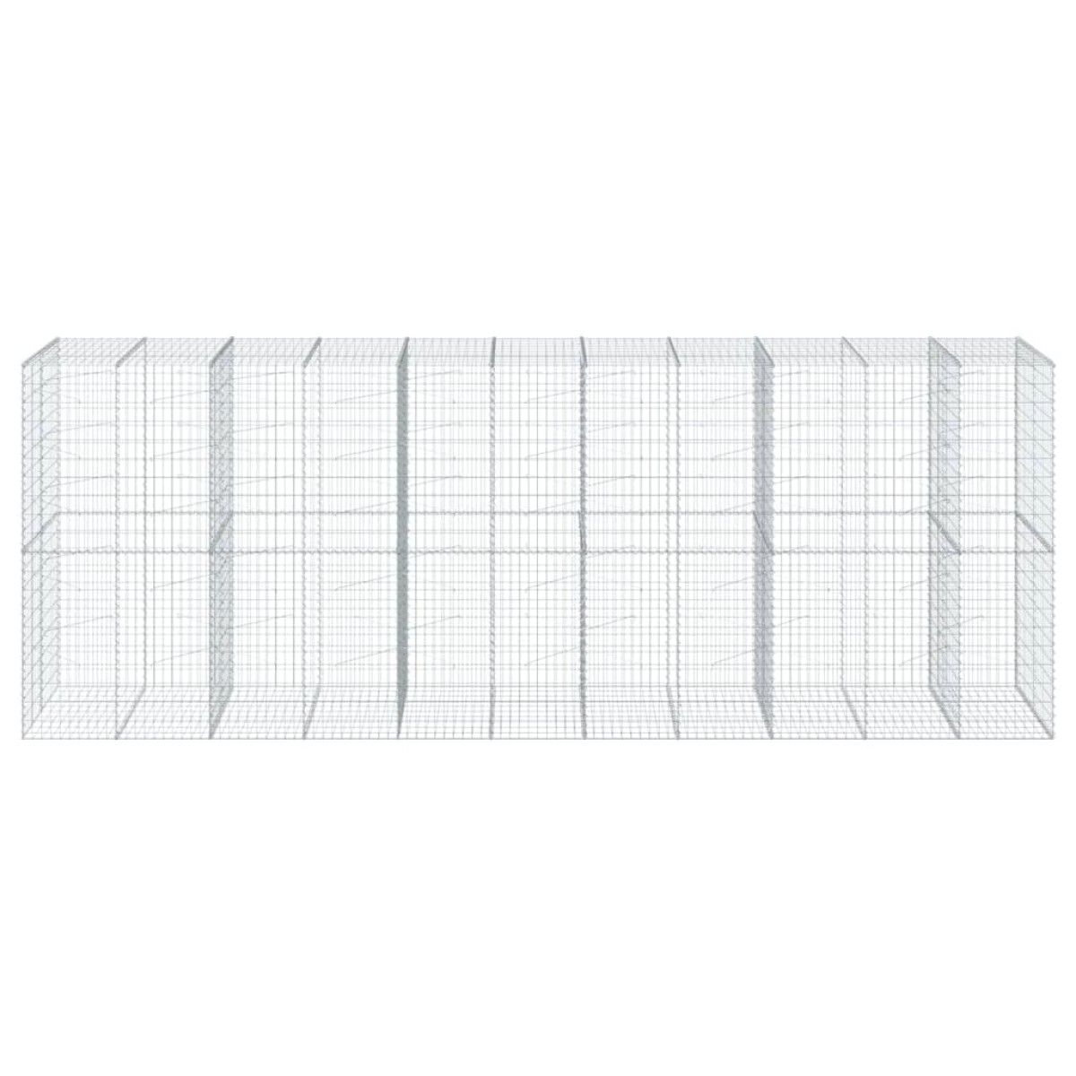 vidaXL Συρματοκιβώτιο με Κάλυμμα 550x100x200εκ από Γαλβανισμένο Χάλυβα