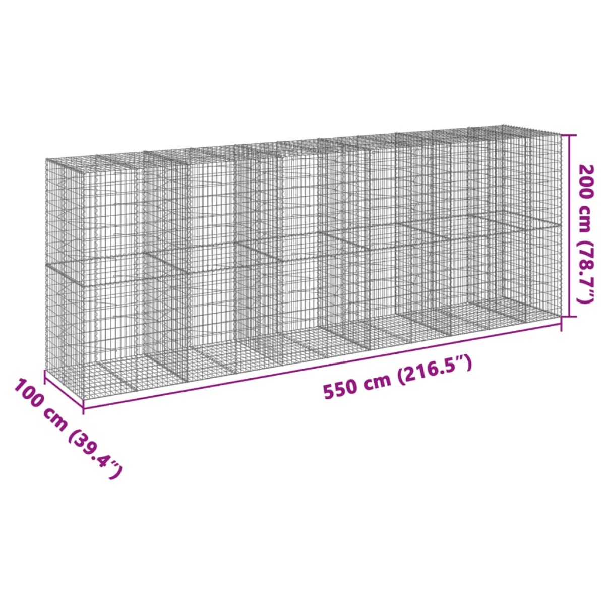 vidaXL Συρματοκιβώτιο με Κάλυμμα 550x100x200εκ από Γαλβανισμένο Χάλυβα