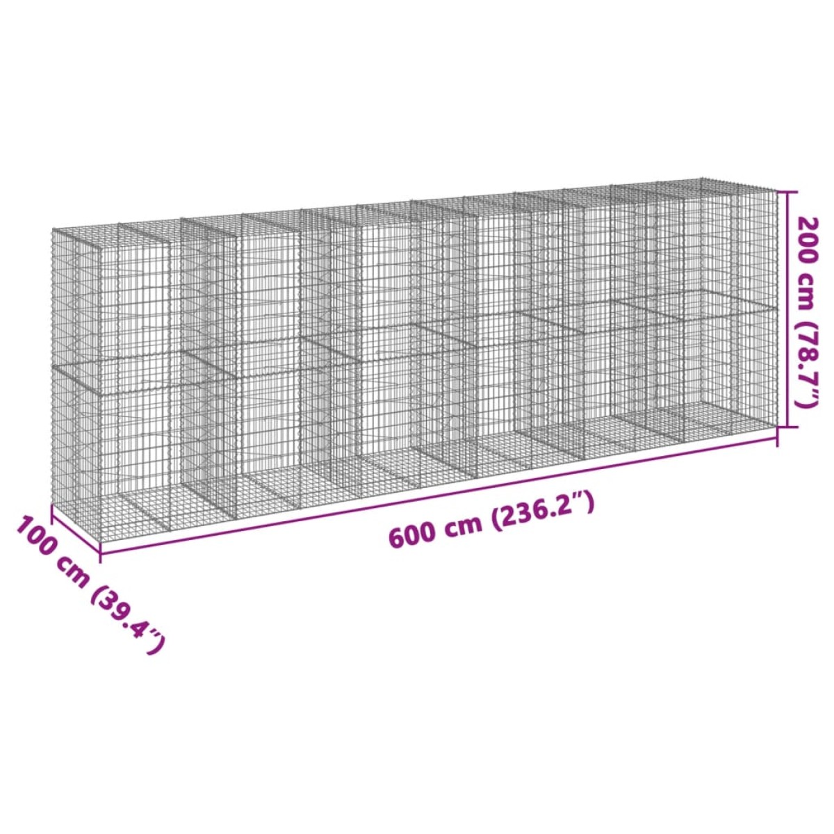 vidaXL Συρματοκιβώτιο με Κάλυμμα 600x100x200εκ από Γαλβανισμένο Χάλυβα