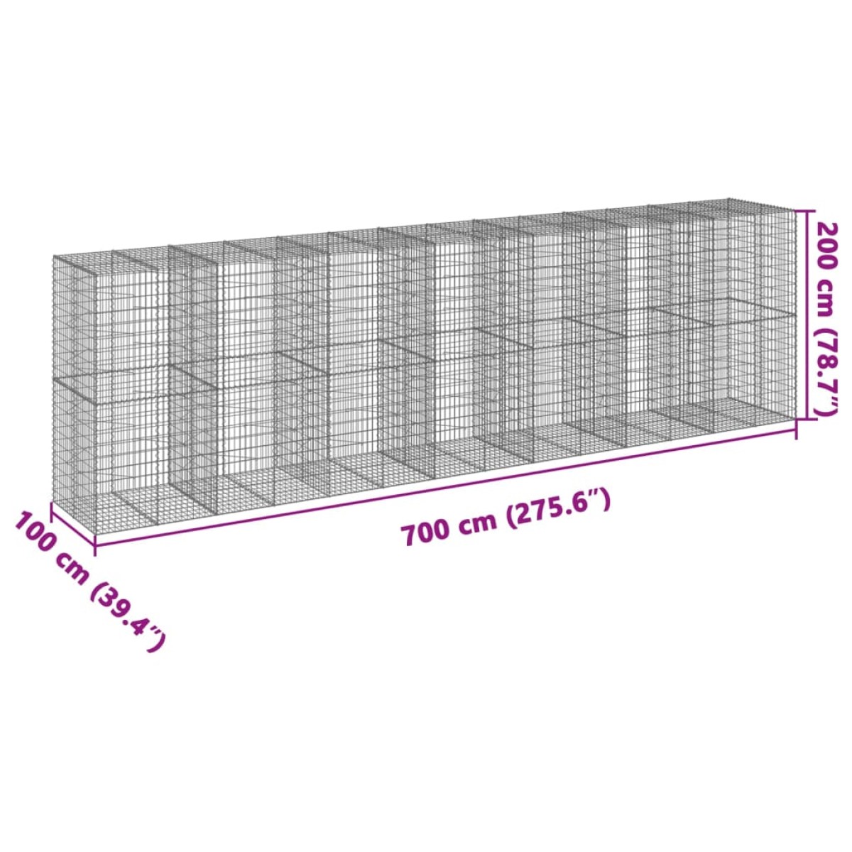 vidaXL Συρματοκιβώτιο με Κάλυμμα 700x100x200εκ από Γαλβανισμένο Χάλυβα