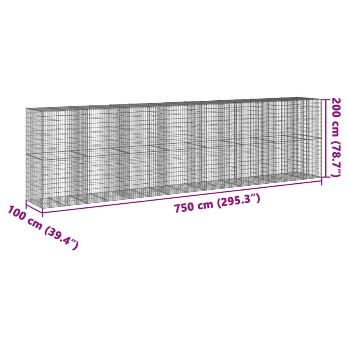 vidaXL Συρματοκιβώτιο με Κάλυμμα 750x100x200εκ από Γαλβανισμένο Χάλυβα