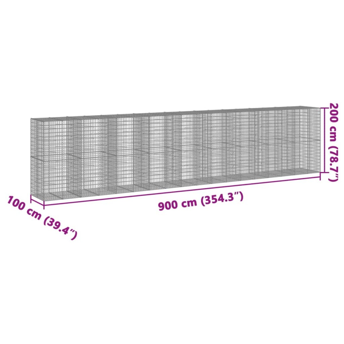 vidaXL Συρματοκιβώτιο με Κάλυμμα 900x100x200εκ από Γαλβανισμένο Χάλυβα