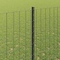 vidaXL Περίφραξη Euro με Στήλη 10 x 1,6 m PVC-Επικαλυμμένο Ατσάλι Γκρι