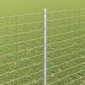 vidaXL Περίφραξη Euro με Στήλη 10 x 1,4 μ Γαλβανισμένος Χάλυβας Ασημί