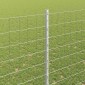 vidaXL Περίφραξη Euro με Στήλη 10 x 1,6 m Γαλβανισμένος Χάλυβας Ασημί