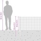 vidaXL Περίφραξη Euro με Στήλη 25 x 0,8 m Γαλβανισμένος Χάλυβας Ασημί