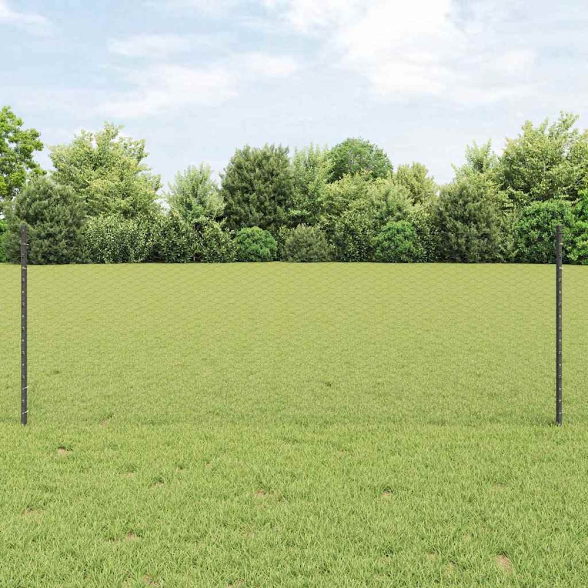 vidaXL Εξαγωνική Φράχτη με Στύλο 50 x 0,8 m PVC-Επικαλυμμένο Ατσάλι