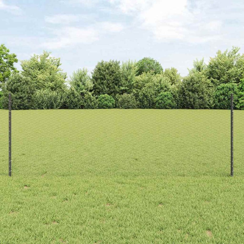 vidaXL Εξαγωνική Φράχτη με Στύλο 50 x 0,8 m PVC-Επικαλυμμένο Ατσάλι