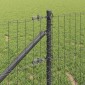 vidaXL Ευρωπαϊκός Φράκτης με Ακίδες 25 x 0,8 m PVC-Επικαλυμμένο Ατσάλι