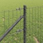 vidaXL Ευρωπαϊκός Φράκτης με Ακίδες 25 x 1 m PVC-Επικαλυμμένο Ατσάλι