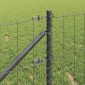 vidaXL Ευρωπαϊκός Φράκτης με Ακίδες 25 x 0,8 m PVC-Επικαλυμμένο Ατσάλι