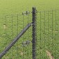 vidaXL Ευρωπαϊκός Φράκτης με Ακίδες 50 x 0,6 μ PVC-Επικαλυμμένο Ατσάλι